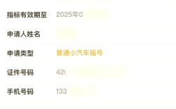 深圳汽车摇号查询(深圳汽车摇号查询进度)