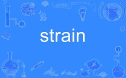 strain(strain的名词)