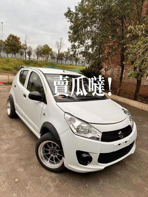 铃木奥拓改装图片(铃木奥拓改装一键升降视频)