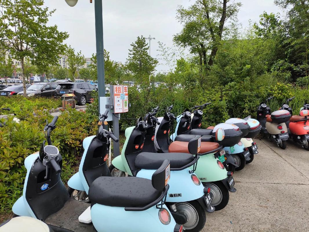 日照租车公司哪家正规(日照租车平台哪个好)