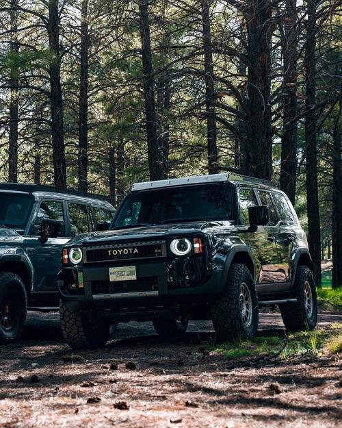 越野最强的越野车,越野最强的越野车是哪款