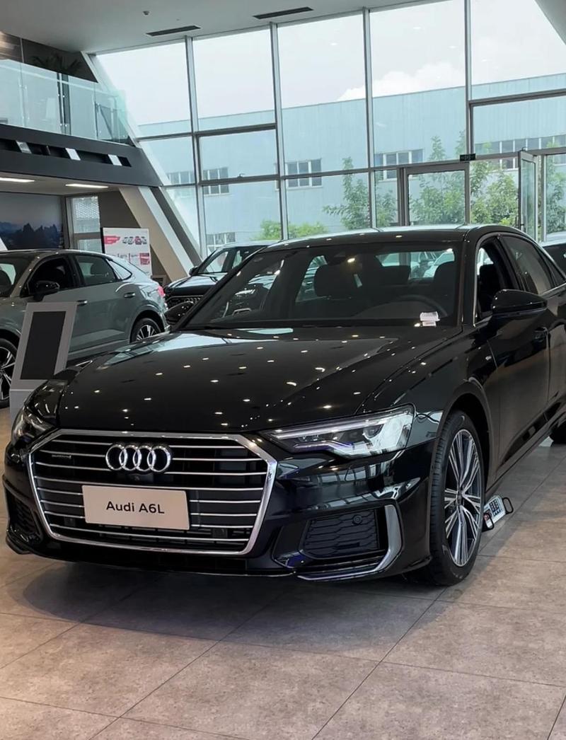 奥迪a6l豪华动感型 奥迪a6l豪华动感版试驾视频