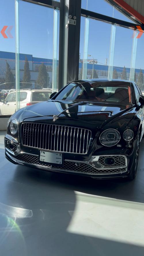 平行进口车总体情况,平行进口车现状