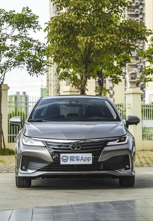 为什么都不建议买亚洲狮(亚洲狮为什么会这么少)