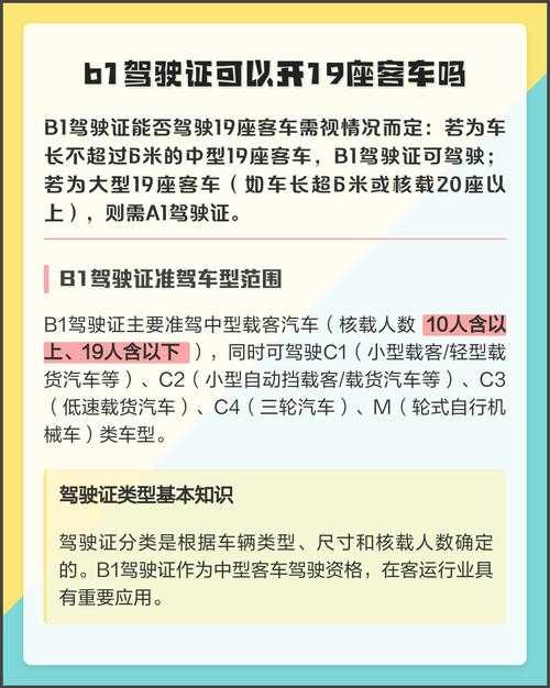 b1驾照(b1驾照可以开几座客车)