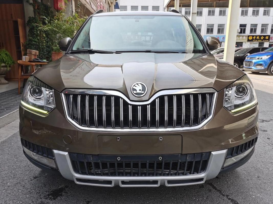 包含斯柯达yeti的通病的词条